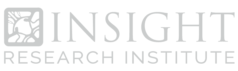 Insight Research Institute Chicago - Logo