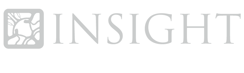Insight Chicago - Logo